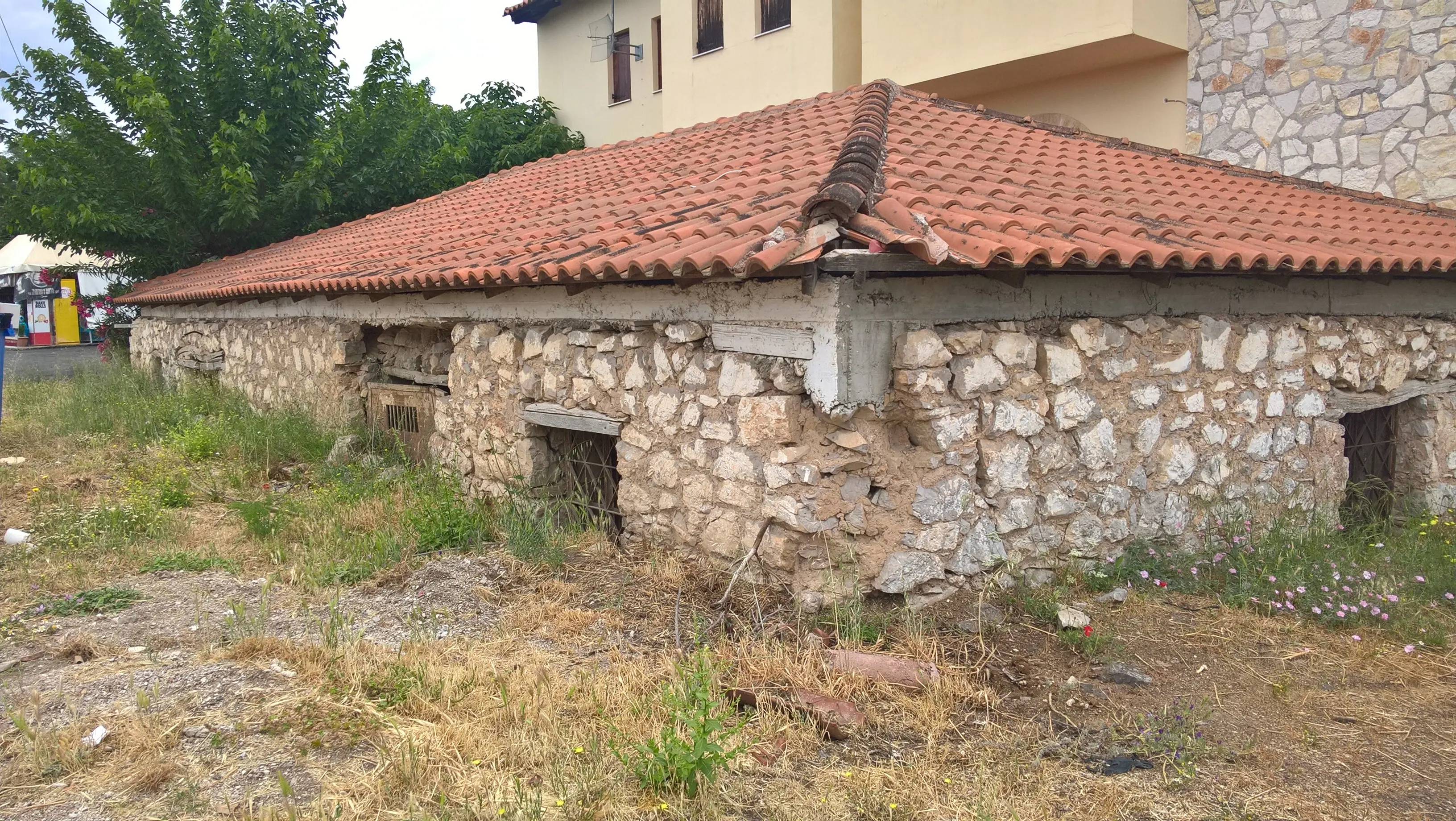 Μελέτη Μουσείου Ελιάς